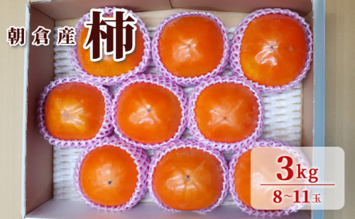 柿 3kg 朝倉 ぱぁ～しもん屋の柿 化粧箱入り 果物類 かき 福岡県産  196190 - 福岡県朝倉市
