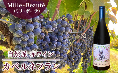 Mille・Beauté(ミリ・ボーテ)カベルネフラン 無濾過 赤ワイン 1964021 - 長野県小諸市