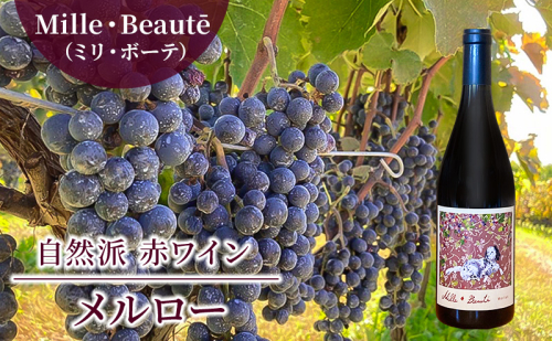 Mille・Beauté(ミリ・ボーテ)メルロー 無濾過 赤ワイン 1964022 - 長野県小諸市