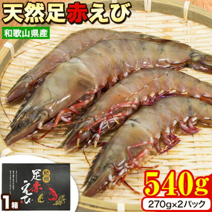 ＜先行予約＞紀州和歌山産天然足赤えび 540g(270g×2パック) 化粧箱入 魚鶴商店《2025年11月上旬-2月上旬頃出荷》和歌山県 日高川町 足赤えび えび エビ 1966010 - 和歌山県日高川町