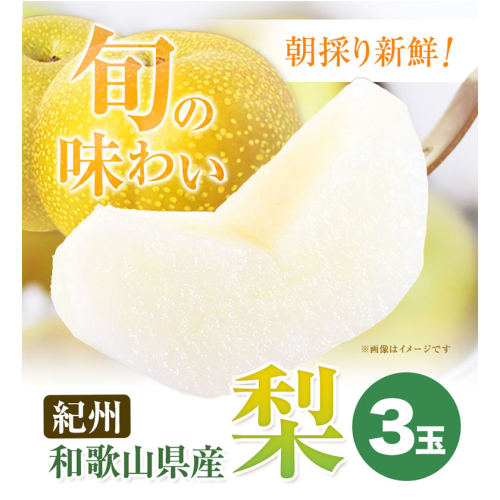紀州和歌山県産の梨 3玉 化粧箱入 魚鶴商店《8月中旬-9月上旬出荷》和歌山県 日高川町 和歌山県産 梨 なし ナシ 贈り物 ギフト 1966012 - 和歌山県日高川町
