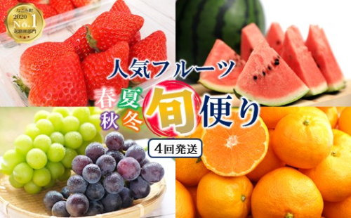 【定期便４回】春夏秋冬！旬の人気フルーツ 熊本県なごみ町 | 熊本県 熊本 くまもと 和水町 なごみ フルーツ 果物 いちご メロン スイカ シャインマスカット マスカット 巨峰 ぶどう 葡萄 みかん 蜜柑 ミカン 柑橘 定期便 定期 4回 3か月毎 196686 - 熊本県和水町