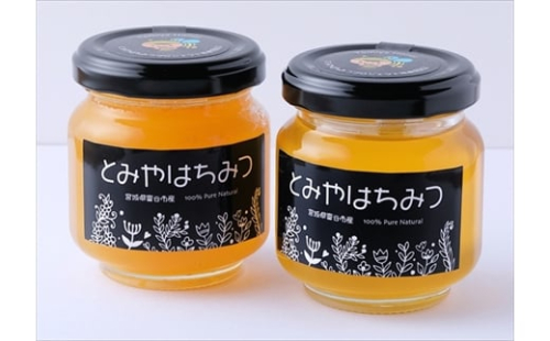 2025年採蜜 とみやはちみつ 120g×3個セット｜令和7年 国産 富谷 蜂蜜 はちみつ ハチミツ 瓶 [0283] 196983 - 宮城県富谷市