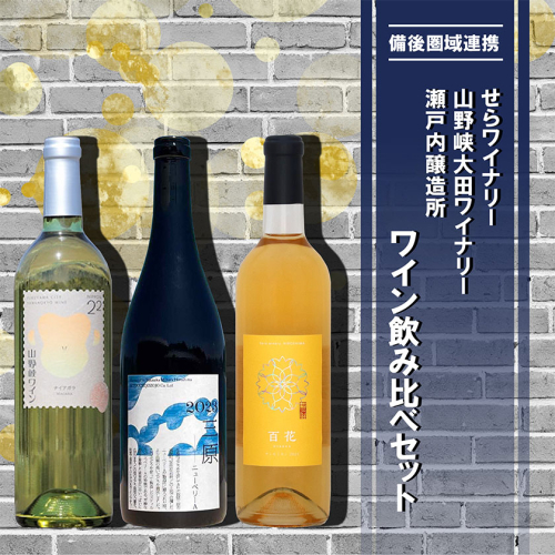 【びんご圏域連携】せらワイナリー 山野峡大田ワイナリー 瀬戸内醸造所 ワイン飲み比べセット 株式会社セラアグリパーク《30日以内に出荷予定(土日祝除く)》酒 ワイン さけ お酒 1970307 - 岡山県笠岡市