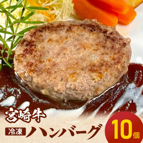 宮崎牛ハンバーグ100g×10個 N124-YD0199 1973532 - 宮崎県延岡市