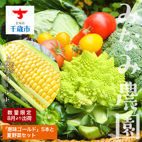 色々楽しめる！2025年8月より順次出荷！「 恵味ゴールド 」5本と 夏野菜 セット とうきび とうもろこし 野菜 コーン 北海道 千歳 197383 - 北海道千歳市