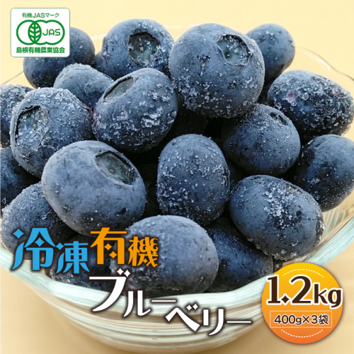 冷凍 有機ブルーベリー 1.2kg（400g×3袋） 197452 - 島根県邑南町