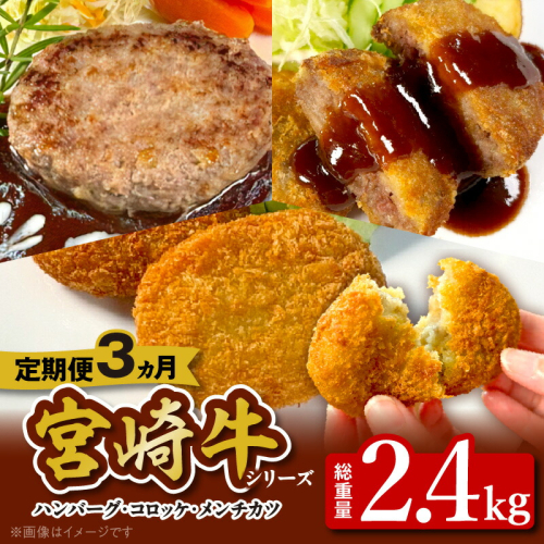 【3ヶ月定期便】宮崎牛シリーズ N124-YF074 1974773 - 宮崎県延岡市