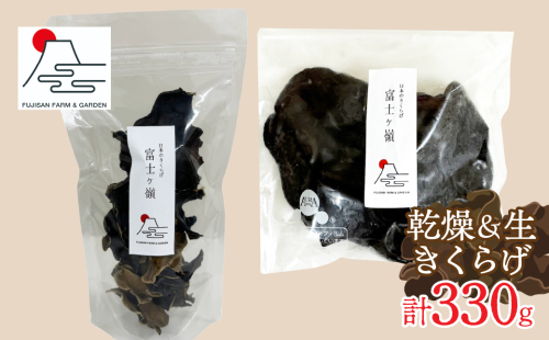 生きくらげ300g+乾燥きくらげ30g FDY002 1975020 - 山梨県富士河口湖町