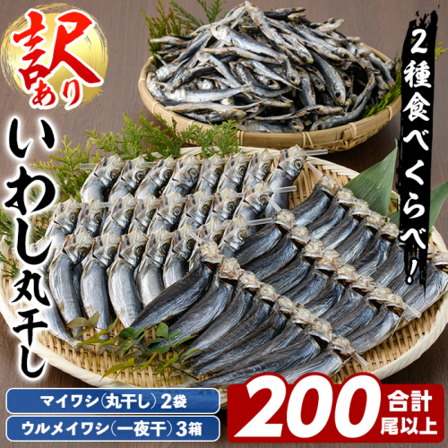 訳あり！イワシ丸干しセット(合計200尾以上) 国産 鹿児島県産 阿久根市産 魚 魚介 水産 訳あり 訳アリ いわし 鰯 ウルメイワシ うるめいわし めざし 真イワシ 真いわし マイワシ まいわし 丸干 一夜干 食べ比べ セット 詰め合わせ 【鈴木海産】a-20-31-z 1975391 - 鹿児島県阿久根市