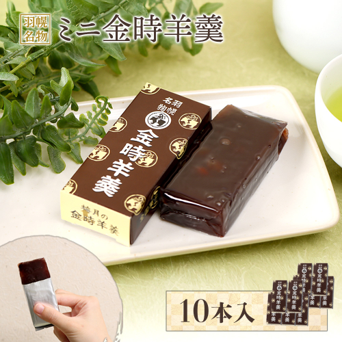 羽幌名物 ミニ金時羊羹10本入【11111】 1975469 - 北海道羽幌町