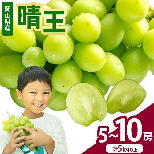 シャインマスカット【晴王】 岡山県産 5?10房(計5kg以上)【先行予約】 株式会社Myself《2025年9月上旬-11月上旬頃出荷》マスカット 送料無料 岡山県 浅口市 ぶどう フルーツ 果物 贈り物 ギフト 1976188 - 岡山県浅口市