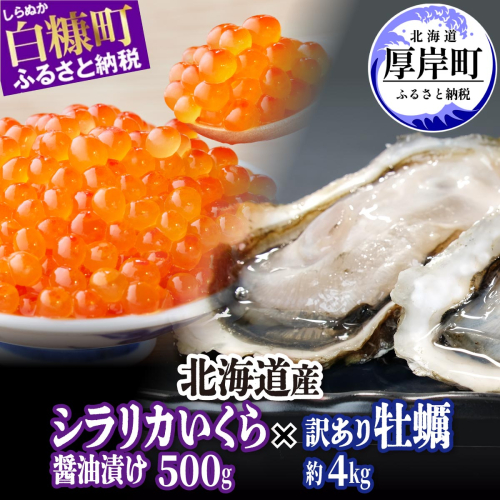 北海道 厚岸産 牡蠣 約4kg 訳あり × 北海道産 シラリカいくら 【醤油漬け】 500g (250g×2)  海鮮 セット いくら イクラ 牡蠣 生牡蠣 カキ 殻付き 海鮮 生食用 海鮮 海鮮丼 魚介 貝 厚岸町 白糠町 1978322 - 北海道厚岸町