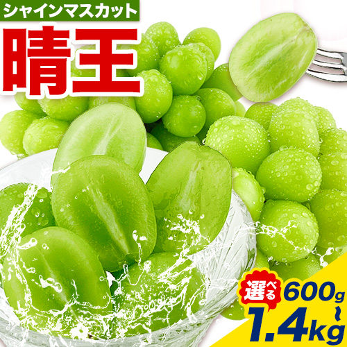 【2025年先行予約受付】ぶどう シャインマスカット 晴王 選べる 600g ～ 1.4kg 岡山県産《7月上旬-9月中旬頃出荷》 ハレノフルーツ マスカット 送料無料 岡山県 浅口市 フルーツ 果物 国産 岡山県産 くだもの 青果物【配送不可地域あり】 1978689 - 岡山県浅口市
