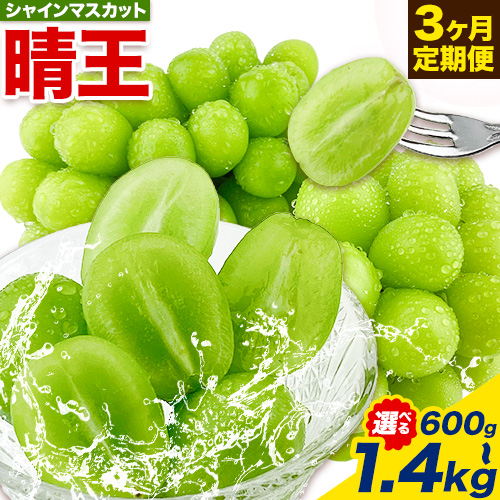【2026年先行予約】ぶどう 3ヶ月 定期便 シャインマスカット 晴王 選べる 600g-1.4kg 岡山県産《7月上旬-9月末頃出荷》 ハレノフルーツ マスカット 送料無料 岡山県 浅口市 フルーツ 果物 国産 岡山県産【配送不可地域あり】 1978740 - 岡山県浅口市