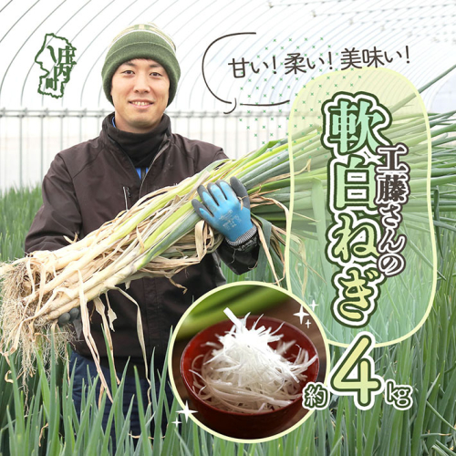 【11月より順次発送】庄内町産 工藤さんの軟白ねぎ Lサイズ30本 約4kg(入金期限:2026.2.20) 1979571 - 山形県庄内町