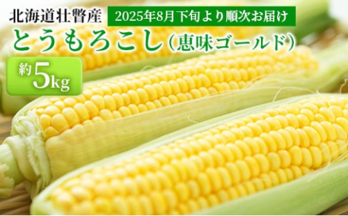 ＜2025年8月下旬より順次お届け＞北海道壮瞥産 とうもろこし（恵味ゴールド）約5kg 【 ふるさと納税 人気 おすすめ ランキング 北海道 壮瞥 先行予約 とうもろこし トウモロコシ 野菜 とうきび スウィートコーン  大容量 詰合せ セット 北海道 壮瞥町 送料無料 】SBTA001 1980006 - 北海道壮瞥町