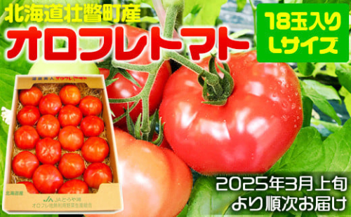 ＜2025年3月上旬より順次お届け＞北海道壮瞥産 オロフレトマト18玉入り（Lサイズ）【 ふるさと納税 人気 おすすめ ランキング 北海道 壮瞥 オロフレトマト 野菜 トマト 産地直送 夏 旬 旬の野菜 とまと 季節商品 贈り物 贈物 贈答 ギフト 大容量 詰合せ セット 北海道 壮瞥町 送料無料 SBTA029 1980032 - 北海道壮瞥町
