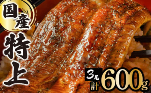 ≪2025年4月配送≫【数量限定】『国産』うなぎ蒲焼 3尾 計600g 1980259 - 佐賀県上峰町
