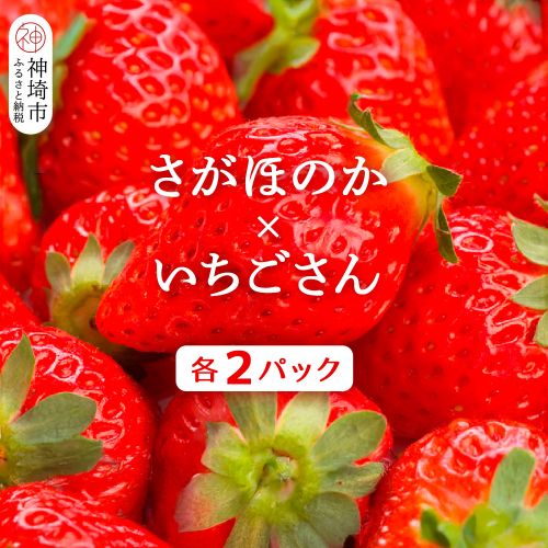 【2026年1月上旬より発送開始】苺(さがほのか・いちごさん)各2パック【果物 くだもの フルーツ イチゴ 佐賀】(H116136) 1982014 - 佐賀県神埼市