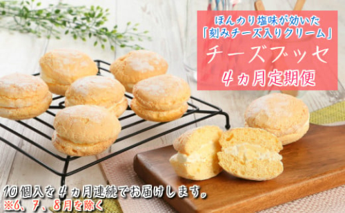 【定期便4カ月】こだわりの窯焼き「チーズブッセ」10個入×4ヵ月連続お届け 1982152 - 岩手県久慈市