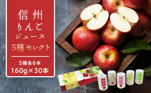 りんごジュース 長野 信州 りんご ジュース 160g×6本×5品種 計30本 詰め合わせ セット リンゴジュース 飲み比べ 100% ストレート 飲料 果汁飲料 秋映 シナノスイート シナノゴールド 紅玉 サンふじ リンゴ 林檎 長野県 長野市 長野県長野市  19826 - 長野県長野市