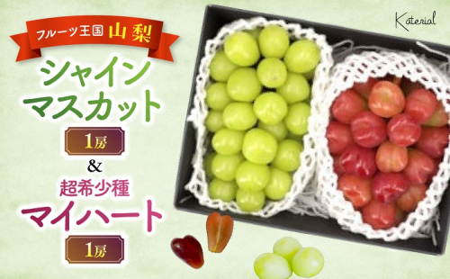 【2025年発送】山梨県産　シャインマスカット（1房）&マイハート（1房）約1.2kg［ぶどう　葡萄　シャイン　シャインマスカット　マイハート　くだもの　果物　フルーツ　人気　2種　詰め合わせ　ギフト　贈答　新鮮　山梨県　山梨　甲斐市］ 1983130 - 山梨県甲斐市