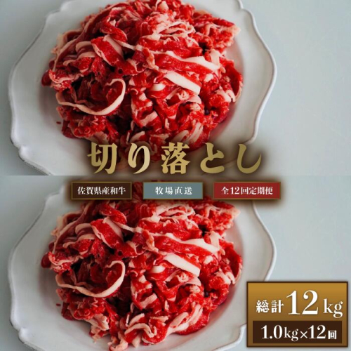【牧場定期便】佐賀産和牛切り落とし1000g 12回：C178-004 1983389 - 佐賀県佐賀市