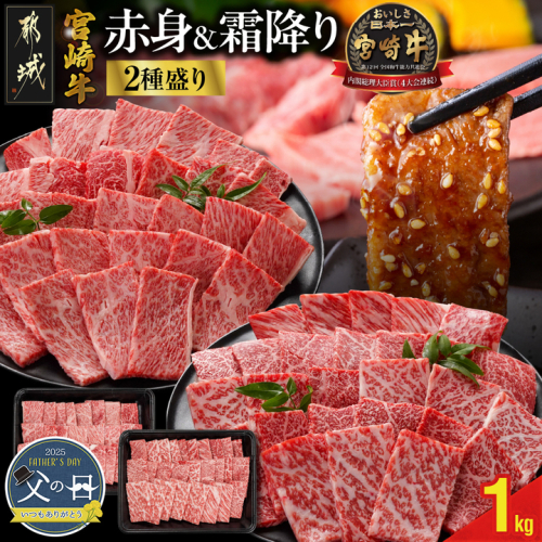 【父の日】宮崎牛焼肉2種セット500g×2パック≪6月12日～15日お届け≫_17-N202-FG 1983424 - 宮崎県都城市