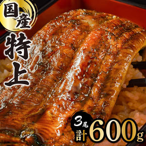 ≪2025年4月配送≫【数量限定】『国産』うなぎ蒲焼 3尾 計600g ※一部配送不可地域ありD-625 1984116 - 佐賀県上峰町