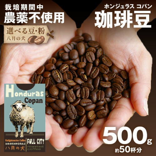 【栽培期間中農薬不使用】自家焙煎コーヒー豆 ホンジュラス　コパン 500g（250g×2） 約50杯分 小分け　豆・粉 選べる
 1985041 - 京都府京丹後市