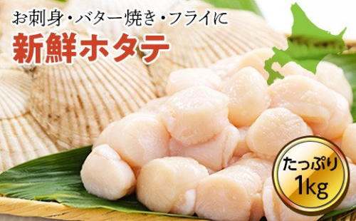オホーツク海産ホタテ貝柱1kg(大・中) en01-00069 198510 - 北海道遠軽町