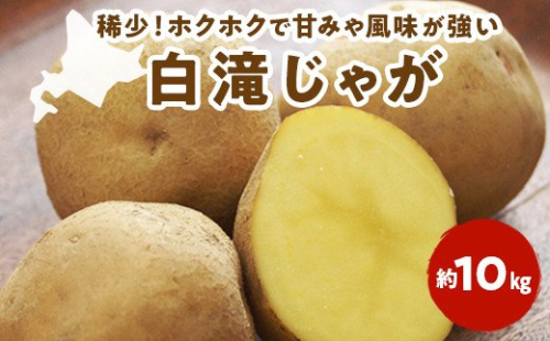 2025白滝じゃが(約10kg) en01-00044 198541 - 北海道遠軽町