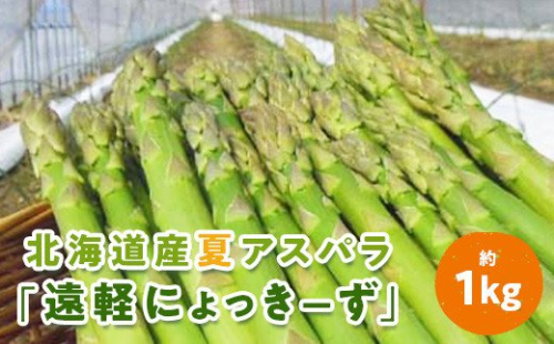 2024年夏アスパラ1kg en01-00006 198544 - 北海道遠軽町