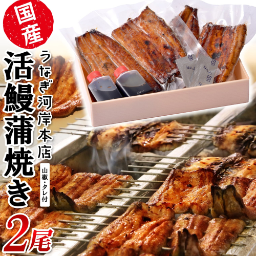 K2544 うなぎ河岸本店 【国産】 鰻蒲焼き 2尾 山椒/タレ付 ウナギ 1986101 - 茨城県境町