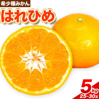 【先行予約】みかん はれひめ 約 5kg 25玉 ～ 30玉 道の駅 くしがきの里《2025年12月中旬-2月上旬頃出荷》 和歌山県 日高町 果物 フルーツ 柑橘 蜜柑 柑橘類 旬 1986153 - 和歌山県日高町