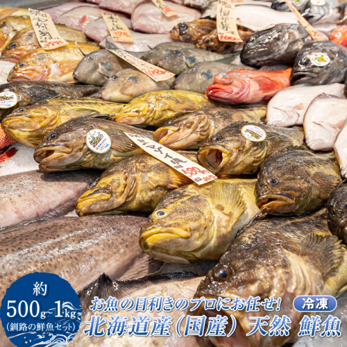 お魚の目利きのプロにお任せ！北海道産（国産） 天然 鮮魚 約500g～1kg（釧路の鮮魚セット）産地直送 冷凍 冷凍便 刺身 セット 鮮魚セット 鮮魚ボックス 北海道 釧路町 釧路超 特産品 1987002 - 北海道釧路町