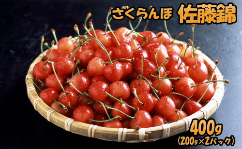 [先行受付] 北海道 仁木町産 さくらんぼ 佐藤錦 400g（200g×2パック） 果物類 くだもの フルーツ サクランボ チェリー [JA新おたる] 1991725 - 北海道仁木町
