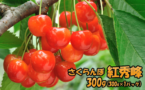 [先行受付] 北海道 仁木町産 さくらんぼ 紅秀峰 300g（300g×1パック）果物類 くだもの フルーツ サクランボ チェリー [JA新おたる] 1991726 - 北海道仁木町