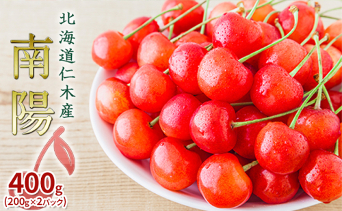 [先行受付] 北海道 仁木町産 さくらんぼ 南陽 400g（200g×2パック） 果物類 くだもの フルーツ サクランボ チェリー [JA新おたる] 1991729 - 北海道仁木町