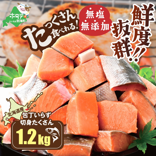 北海道産 カット秋鮭 約 1.2kg （600g×2） 天然 無塩 訳あり サイズ不揃い【KT0000020】 1993212 - 北海道別海町