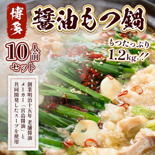 もつ鍋 博多醤油もつ鍋 10人前 セット [MEAT PLUS 福岡県 宇美町 um40azp010014] モツ鍋 もつなべ 福岡 博多 鍋 199330 - 福岡県宇美町