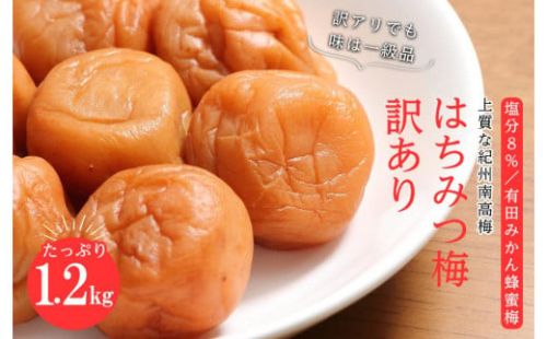 訳あり有田みかん蜂蜜梅干（紀州南高梅）1.2kg（600g×2） 199362 - 和歌山県有田川町