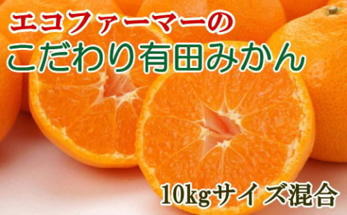 エコファーマーのこだわり有田みかん10kg(サイズ混合) ★2025年11月中旬頃より順次発送 199584 - 和歌山県有田川町