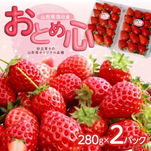 SA2519 いちご 「おとめ心」 約280g×2パック 1996948 - 山形県酒田市