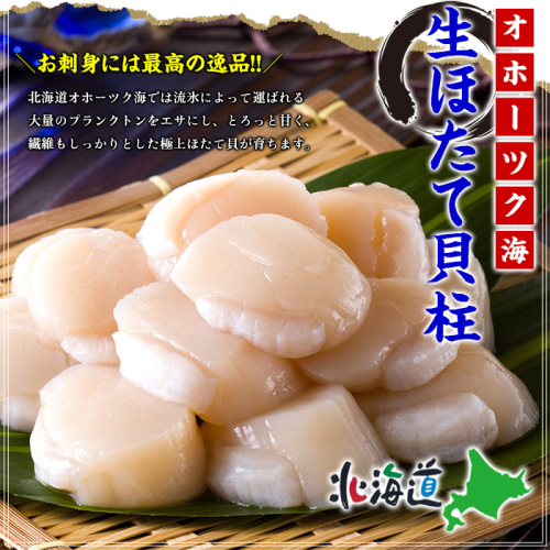 17-110 ほたて貝柱 中型サイズ １ｋｇ 1997153 - 北海道紋別市