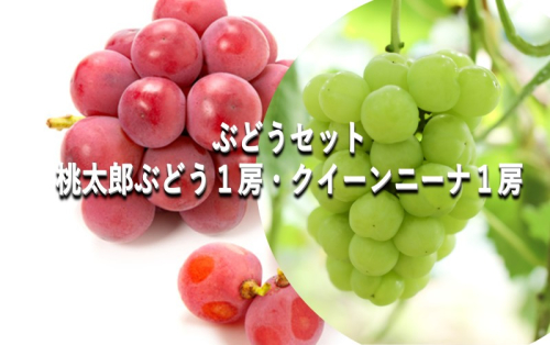 ぶどう 【2025年 早期受付】 ぶどうセット 桃太郎ぶどう 1房 ・ クイーンニーナ 1房 合計約1kg ブドウ 葡萄 岡山県産 国産 フルーツ 果物 ギフト 1997314 - 岡山県瀬戸内市