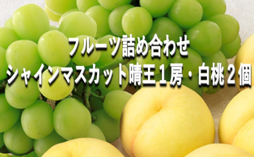 桃 ぶどう 【2025年 早期受付】 フルーツ詰め合わせ シャインマスカット 晴王 1房 ・ 白桃 2個 もも ブドウ 葡萄 岡山県産 国産 フルーツ 果物 ギフト 1997317 - 岡山県瀬戸内市
