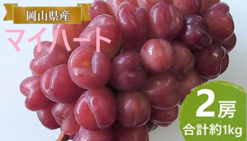 ぶどう 【2025年 早期受付】 マイハート 2房 合計約1kg ブドウ 葡萄 岡山県産 国産 フルーツ 果物 ギフト 1997321 - 岡山県瀬戸内市