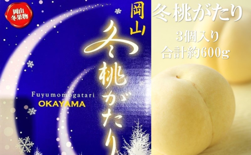 桃 【2025年 早期受付】 冬桃がたり 3個入り 合計約600g もも 岡山県産 国産 フルーツ 果物 ギフト 1997322 - 岡山県瀬戸内市
